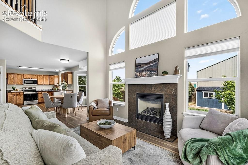 573 Crown Hill Mesa Drive, Colorado Springs, CO 80905 — photo 3