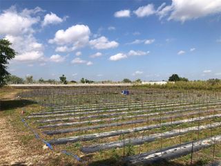 19550 SW 207 Ave, Miami, FL 33187