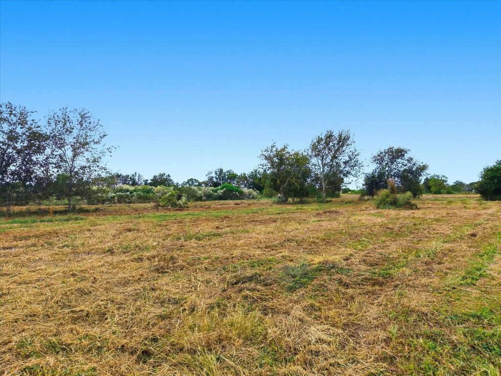 Lot 2 Cow Creek Road, Damon, TX 77430