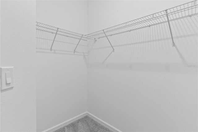 1205 BUTTERFLY ORCHID ROAD, Davenport, FL 33837