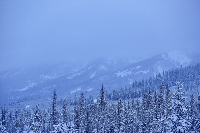 tbd Ulery's Lakes Road - Lot 12A + 13A, Big Sky, MT 59716