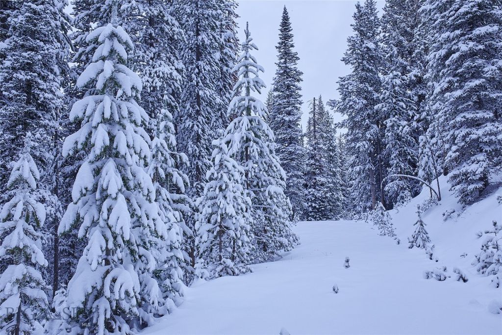 tbd Ulery's Lakes Road - Lot 12A + 13A, Big Sky, MT 59716 photo 19
