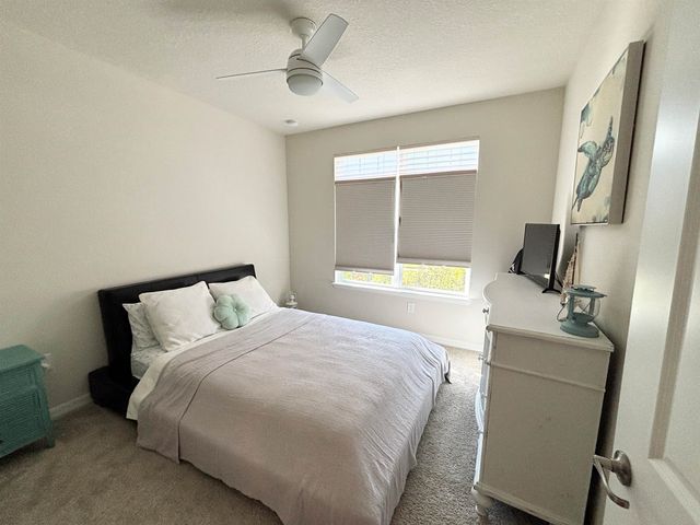 165 Myrtle Oak Ct, St Augustine, FL 32092