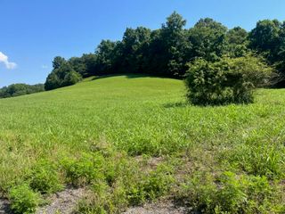 500 Little Renox Road, Burkesville, KY 42717