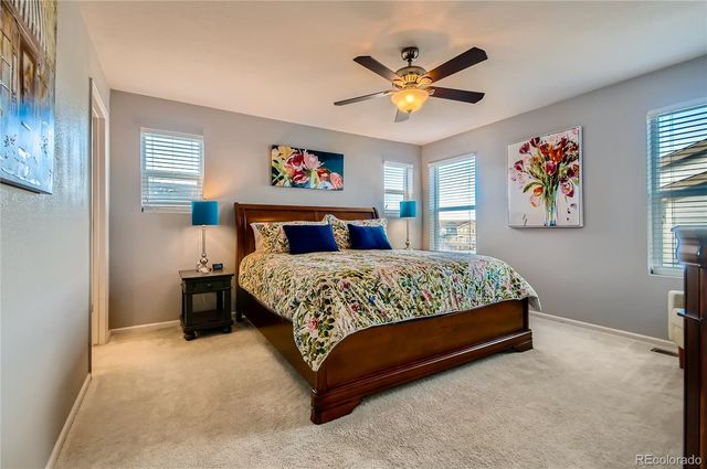 2808 Summer Day Avenue, Castle Rock, CO 80109