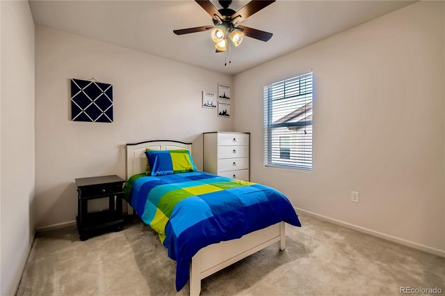 2808 Summer Day Avenue, Castle Rock, CO 80109