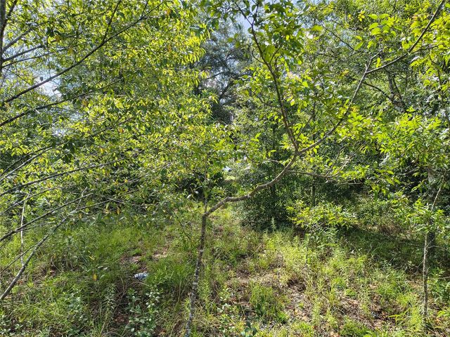 TBD NW 6TH PLACE, Ocala, FL 34482