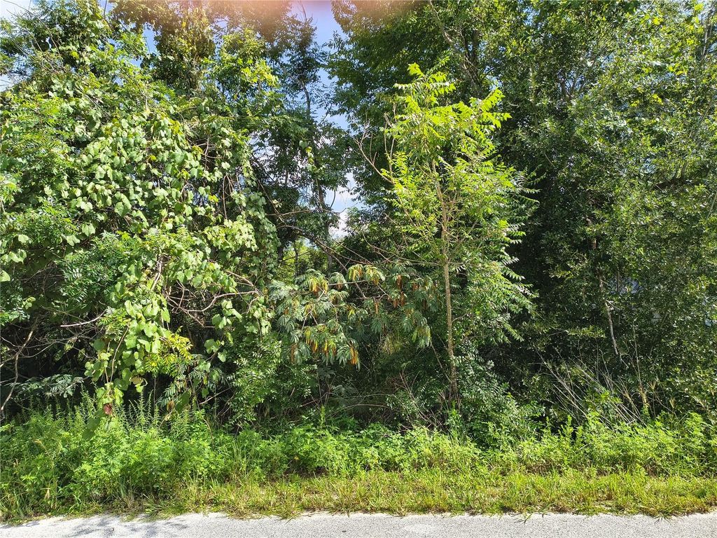 TBD NW 6TH PLACE, Ocala, FL 34482