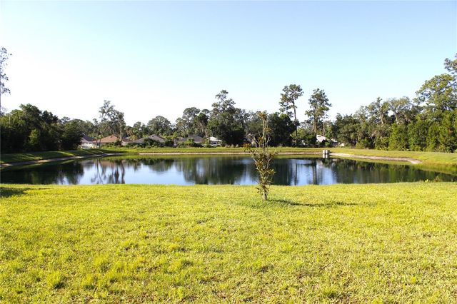 30600 THUNDERBIRD DRIVE, Wesley Chapel, FL 33545
