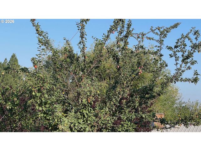 70677 FOLLETT Rd, Elgin, OR 97827