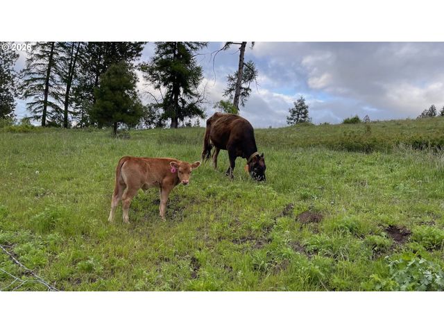 70677 FOLLETT Rd, Elgin, OR 97827