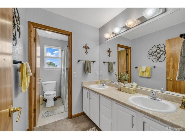 16631 Tree Haven St, Hudson, CO 80642