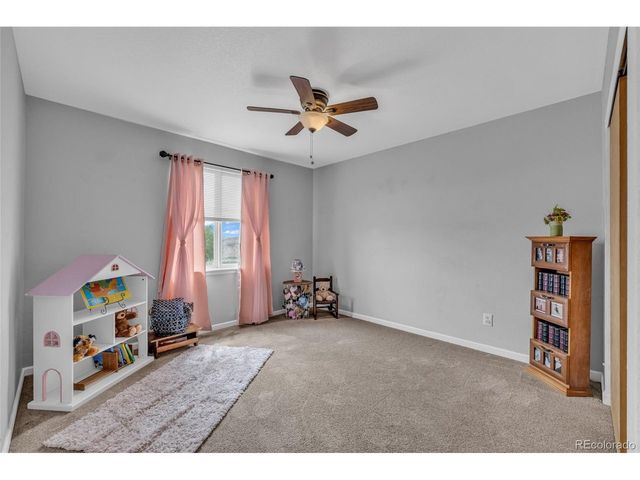 16631 Tree Haven St, Hudson, CO 80642
