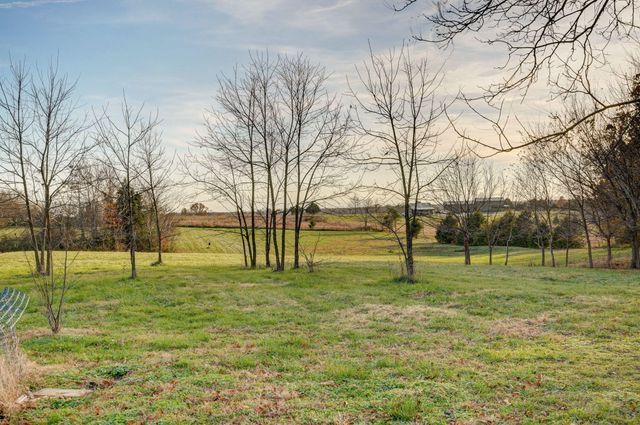 422 Spring Creek Road, Clever, MO 65631