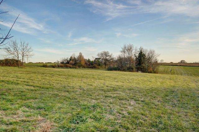 422 Spring Creek Road, Clever, MO 65631