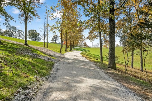 3378 Warner Road, Crane, MO 65633