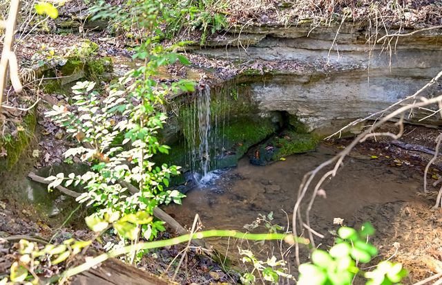 3378 Warner Road, Crane, MO 65633