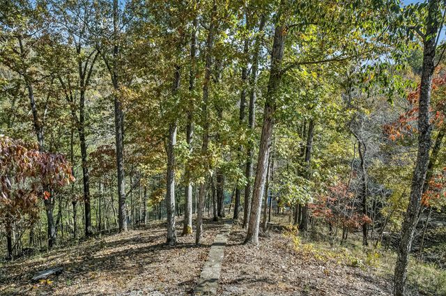 3378 Warner Road, Crane, MO 65633