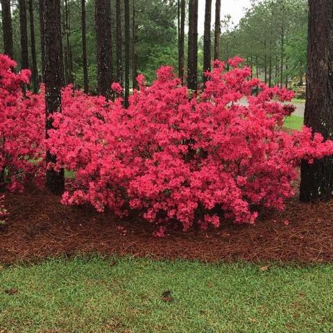 142 Windermere Way, Aiken, SC 29803