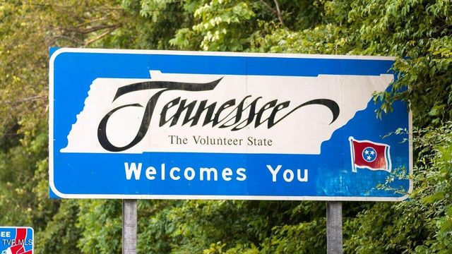 Lot 40 Cowan Town Road, Butler, TN 37640