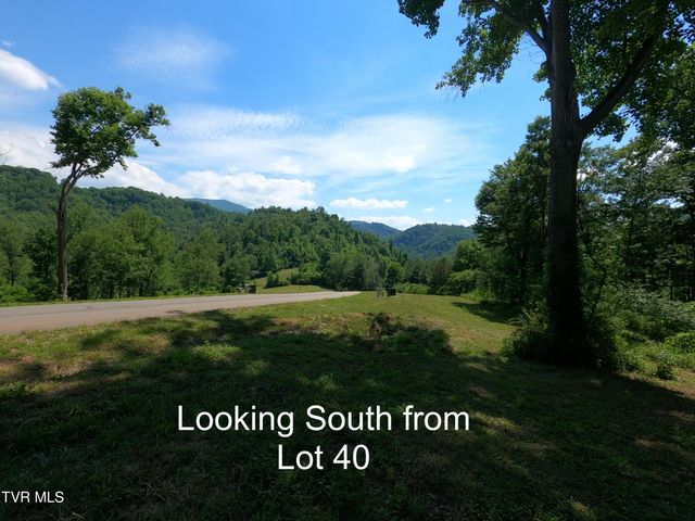 Lot 40 Cowan Town Road, Butler, TN 37640