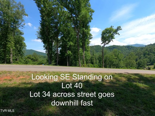Lot 40 Cowan Town Road, Butler, TN 37640