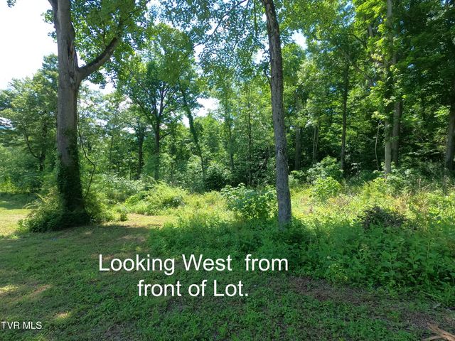 Lot 40 Cowan Town Road, Butler, TN 37640