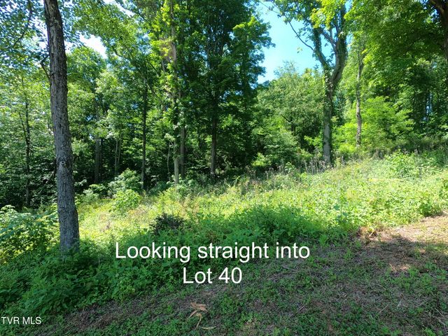Lot 40 Cowan Town Road, Butler, TN 37640