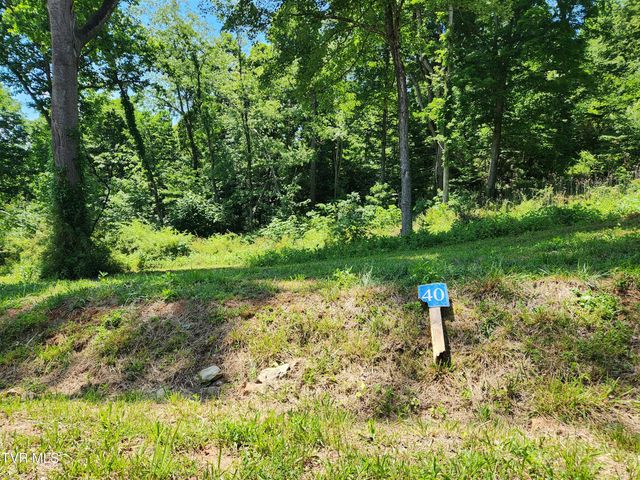 Lot 40 Cowan Town Road, Butler, TN 37640