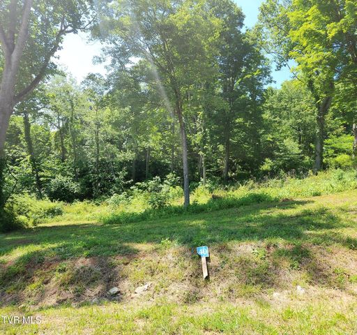 Lot 40 Cowan Town Road, Butler, TN 37640