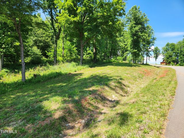 Lot 40 Cowan Town Road, Butler, TN 37640