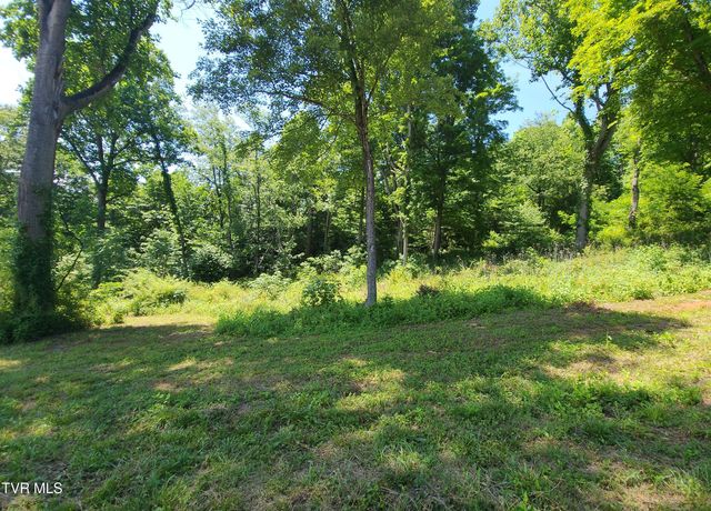 Lot 40 Cowan Town Road, Butler, TN 37640