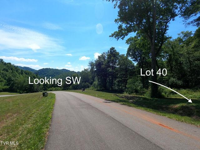 Lot 40 Cowan Town Road, Butler, TN 37640