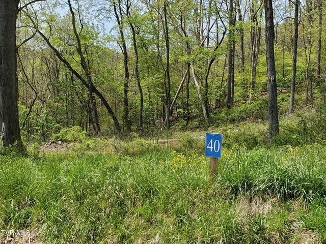 Lot 40 Cowan Town Road, Butler, TN 37640