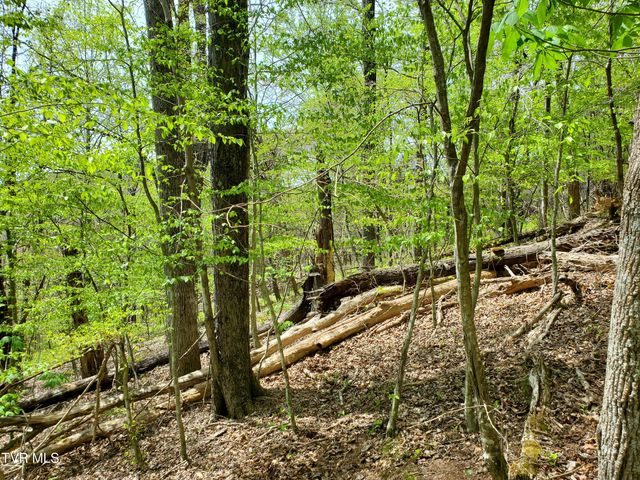 Lot 40 Cowan Town Road, Butler, TN 37640