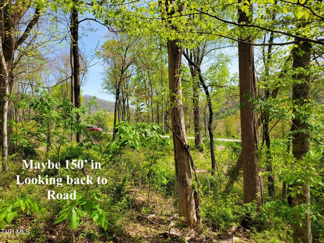Lot 40 Cowan Town Road, Butler, TN 37640