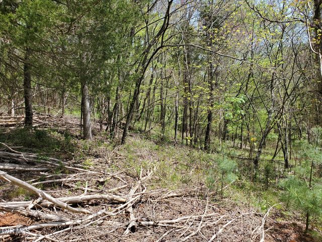 Lot 40 Cowan Town Road, Butler, TN 37640