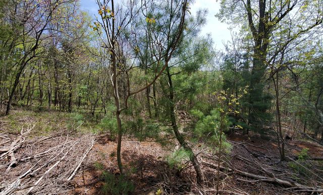 Lot 40 Cowan Town Road, Butler, TN 37640