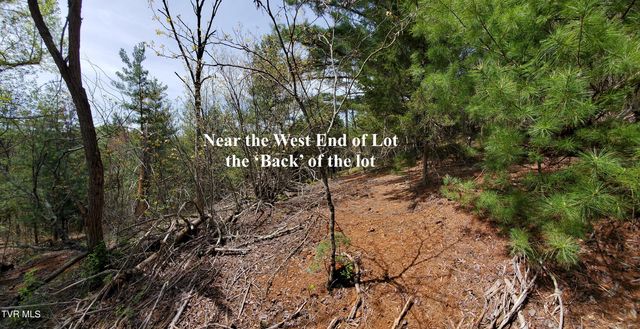 Lot 40 Cowan Town Road, Butler, TN 37640