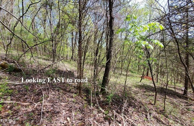 Lot 40 Cowan Town Road, Butler, TN 37640