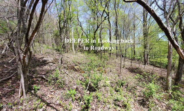 Lot 40 Cowan Town Road, Butler, TN 37640