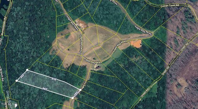 Lot 40 Cowan Town Road, Butler, TN 37640