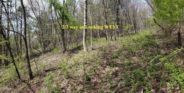Lot 40 Cowan Town Road, Butler, TN 37640