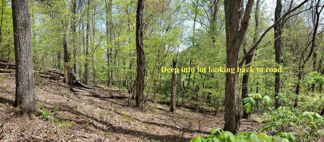 Lot 40 Cowan Town Road, Butler, TN 37640