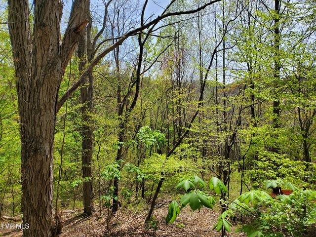 Lot 40 Cowan Town Road, Butler, TN 37640