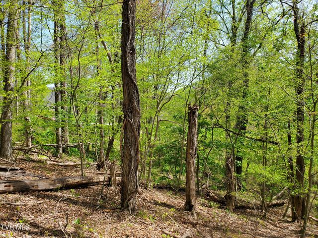 Lot 40 Cowan Town Road, Butler, TN 37640