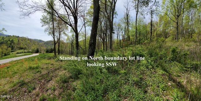 Lot 40 Cowan Town Road, Butler, TN 37640