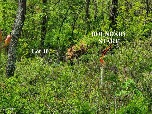 Lot 40 Cowan Town Road, Butler, TN 37640