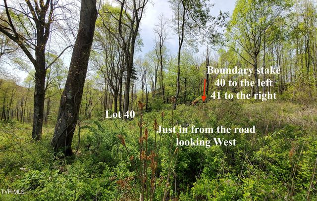 Lot 40 Cowan Town Road, Butler, TN 37640
