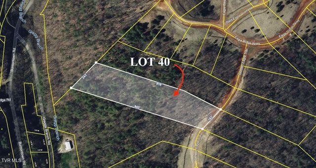 Lot 40 Cowan Town Road, Butler, TN 37640